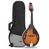 Mandolin Pack Vintage Sunburst - Image 3