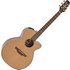 Takamine FSF40C Electro Acoustic Natural - Image 3