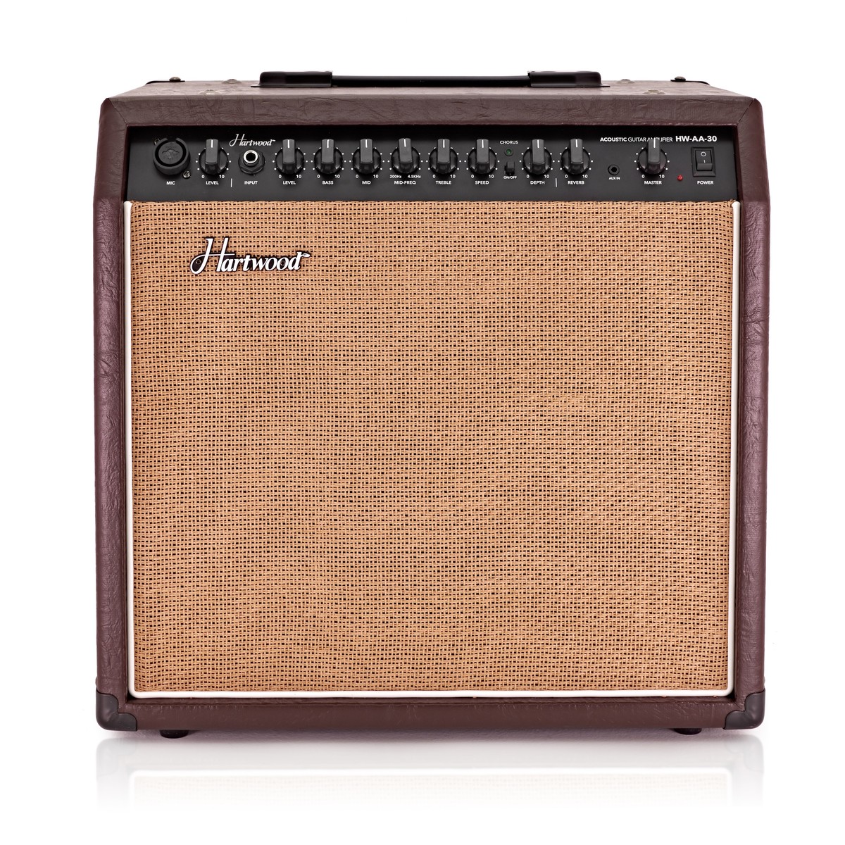 Hartwood 30W Acoustic Guitar Amplifier - Image 2