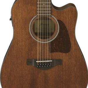 Ibanez Artwood AW5412CE 12 String Electro Acoustic 2018
