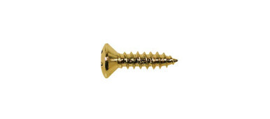 Replacement Electric Guitar Pickguard Screws x12 in Gold