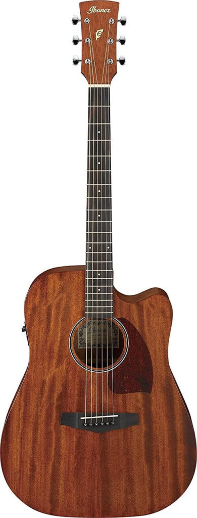 Ibanez Acoustic Guitar Mahogany Concert Body Open Pore in Natural