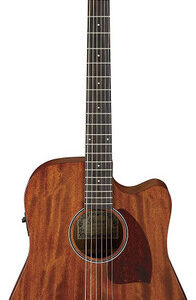 Ibanez Acoustic Guitar Mahogany Dreadnought Body Open Pore in Natural