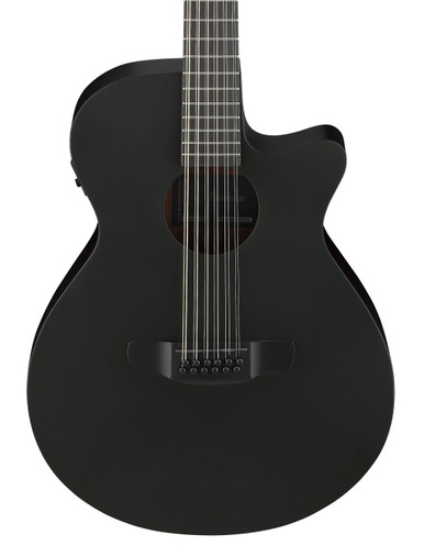 Ibanez AEG1221-BOT 12-String Electro Acoustic Guitar in Black Out