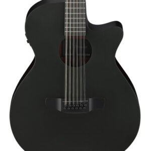 Ibanez AEG1221-BOT 12-String Electro Acoustic Guitar in Black Out