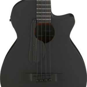 Ibanez AEGB420-BOT AEGB Series Electro Acoustic Bass Guitar in Black Out