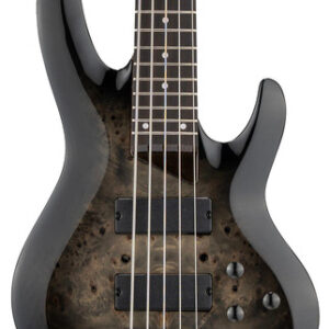 ESP LTD B-205DX 5-String Bass Guitar in Black Burst