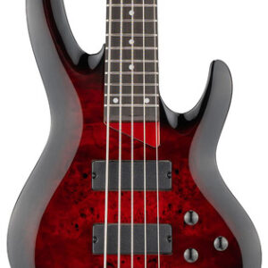 ESP LTD B-205DX 5-String Bass Guitar in Red Burst