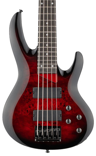 ESP LTD B-205DX 5-String Bass Guitar in Red Burst