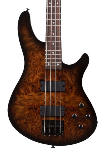 Schecter C-4 Standard Bass Guitar in Tobacco Burl