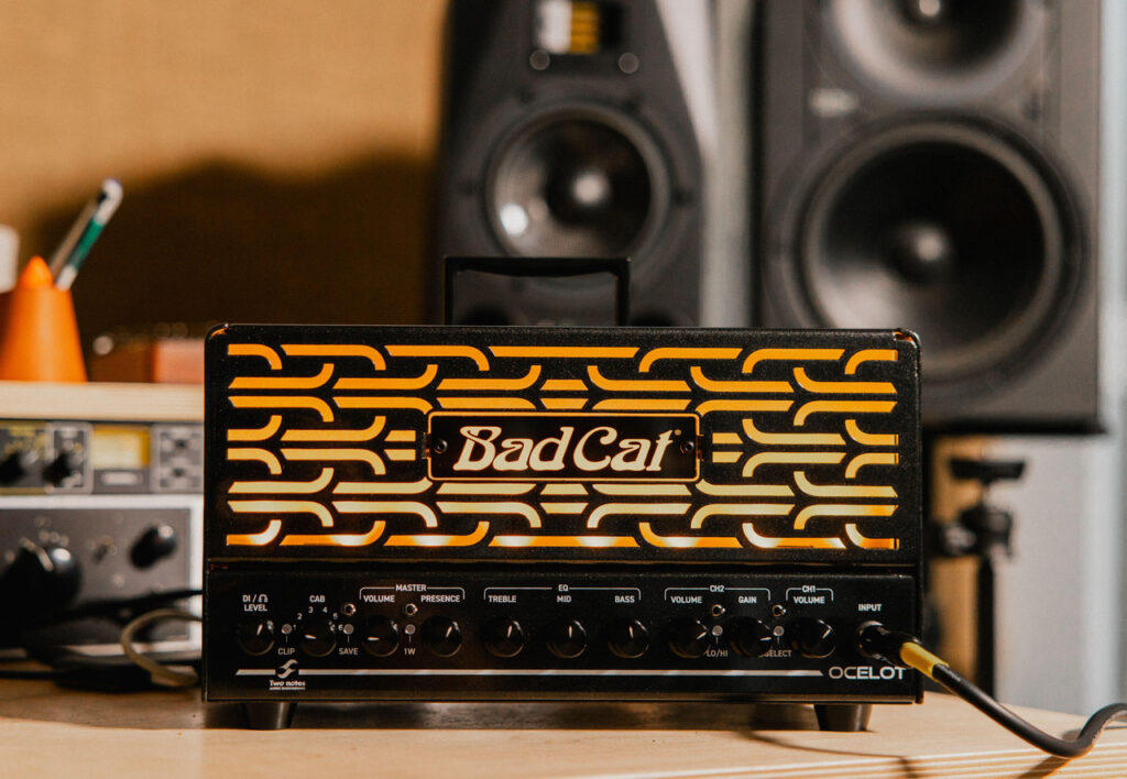 Bad Cat Ocelot 25w 2-Channel Amp Head with EL84 Valves