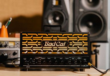 Bad Cat Ocelot 25w 2-Channel Amp Head with EL84 Valves