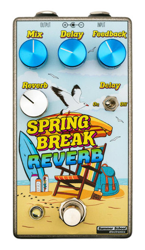 Summer School Electronics Spring Break Reverb Pedal