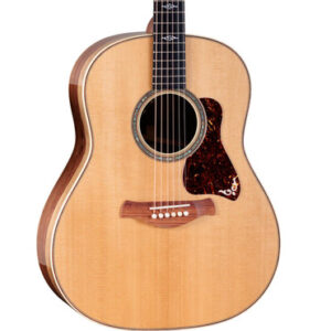 Taylor Gold Label 817e Electro Acoustic in Natural