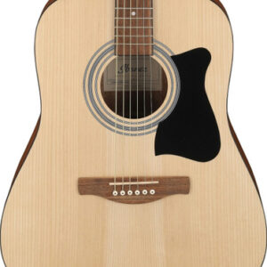 Ibanez V50NJP-OPN Acoustic Guitar in Open Pore Natural Jampack