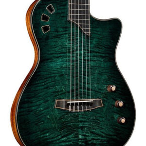 Cordoba Fusion Stage Artist Nylon Electro Acoustic in Agave Burst