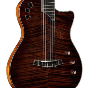 Cordoba Fusion Stage Artist Nylon Electro Acoustic in Habano Burst