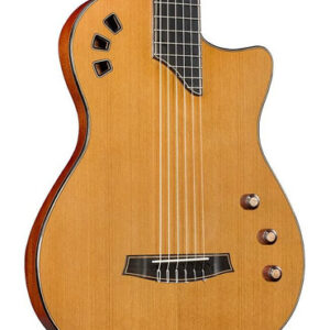 Cordoba Fusion Stage Artist Nylon Electro Acoustic in Traditional