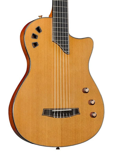 Cordoba Fusion Stage Artist Nylon Electro Acoustic in Traditional