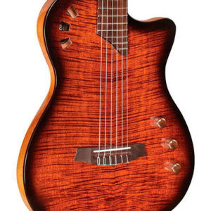Cordoba Fusion Stage Nylon Electro Acoustic in Edge Burst