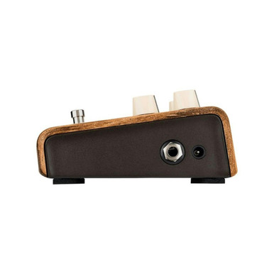 LR Baggs Align Series Session Pedal