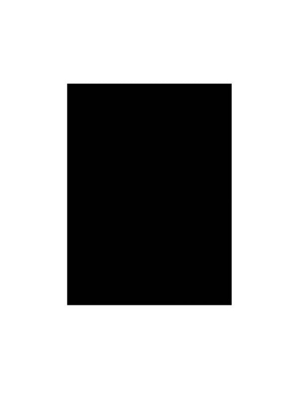 Guitar Pickguard Material with Adhesive Backing - Image 4