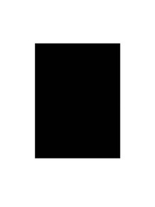 Guitar Pickguard Material with Adhesive Backing - Image 2