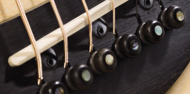 Taylor ES 2 Pickup