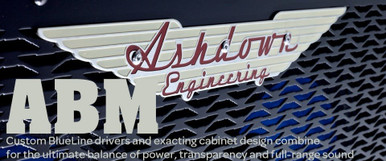 Ashdown ABM-210H 300w 2x10 Compact Bass Cab - Image 2