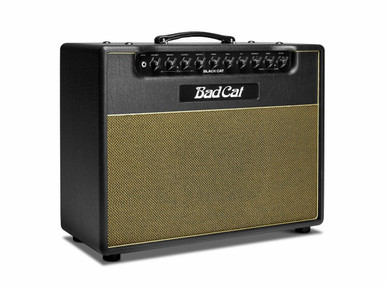 Bad Cat Black Cat 1x12 20W Valve Amp Combo - Image 6