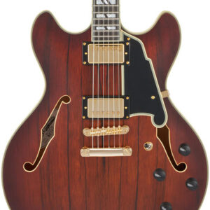 D’Angelico Deluxe DC Semi-Hollow Electric Guitar in Satin Brown Burst