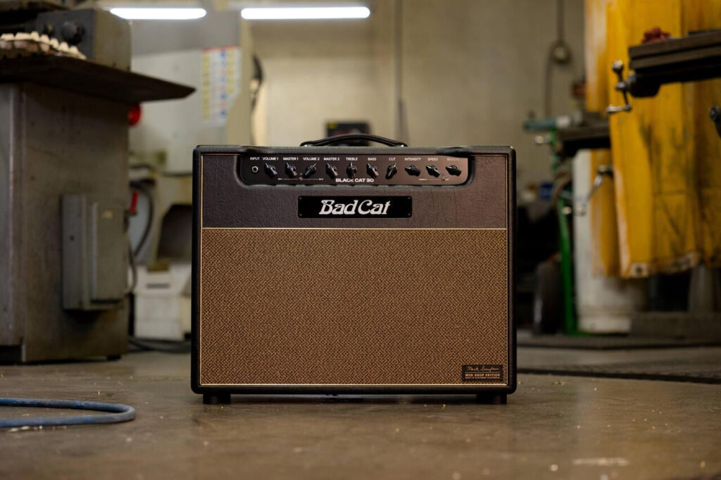 Bad Cat Mod Shop Black Cat 30 1x12 Valve Amp Combo