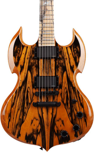 Wylde Audio Barbarian Electric Guitar in Pale Moon Ebony