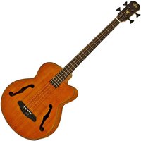 Aria FEB-F2M Medium Scale Bass Stained Brown