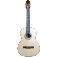 Ferndale C2 Plus Classical Natural