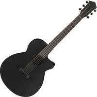 Ibanez AEG621 Black Out