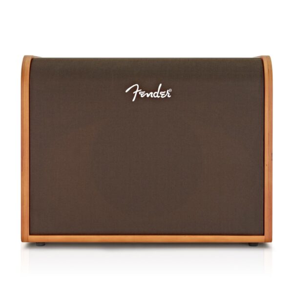 Fender Acoustic 100 Acoustic Amp