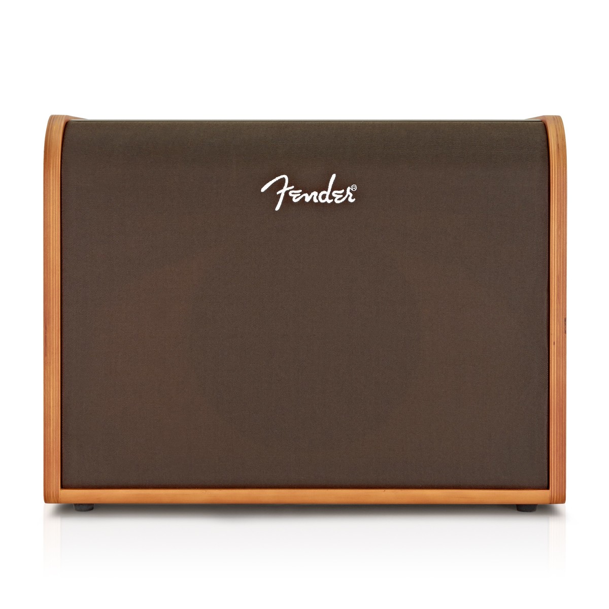 Fender Acoustic 100 Acoustic Amp