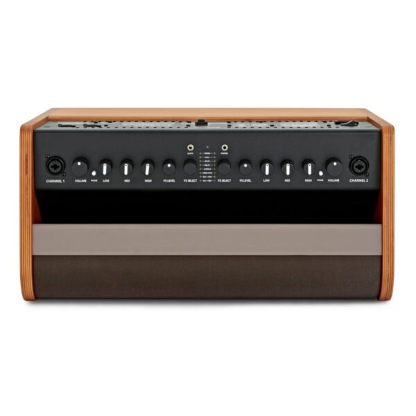 Fender Acoustic 100 Acoustic Amp