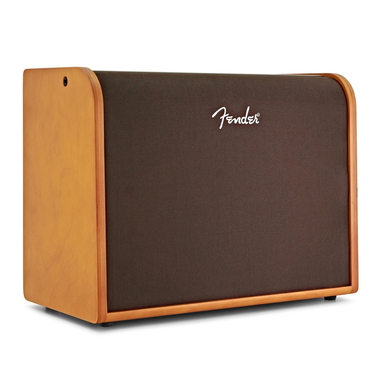 Fender Acoustic 100 Acoustic Amp