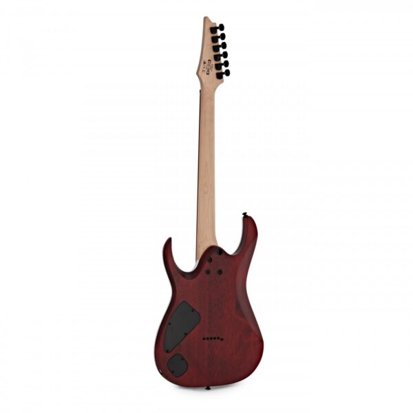 Ibanez RGA42FM Transparent Grey Flat