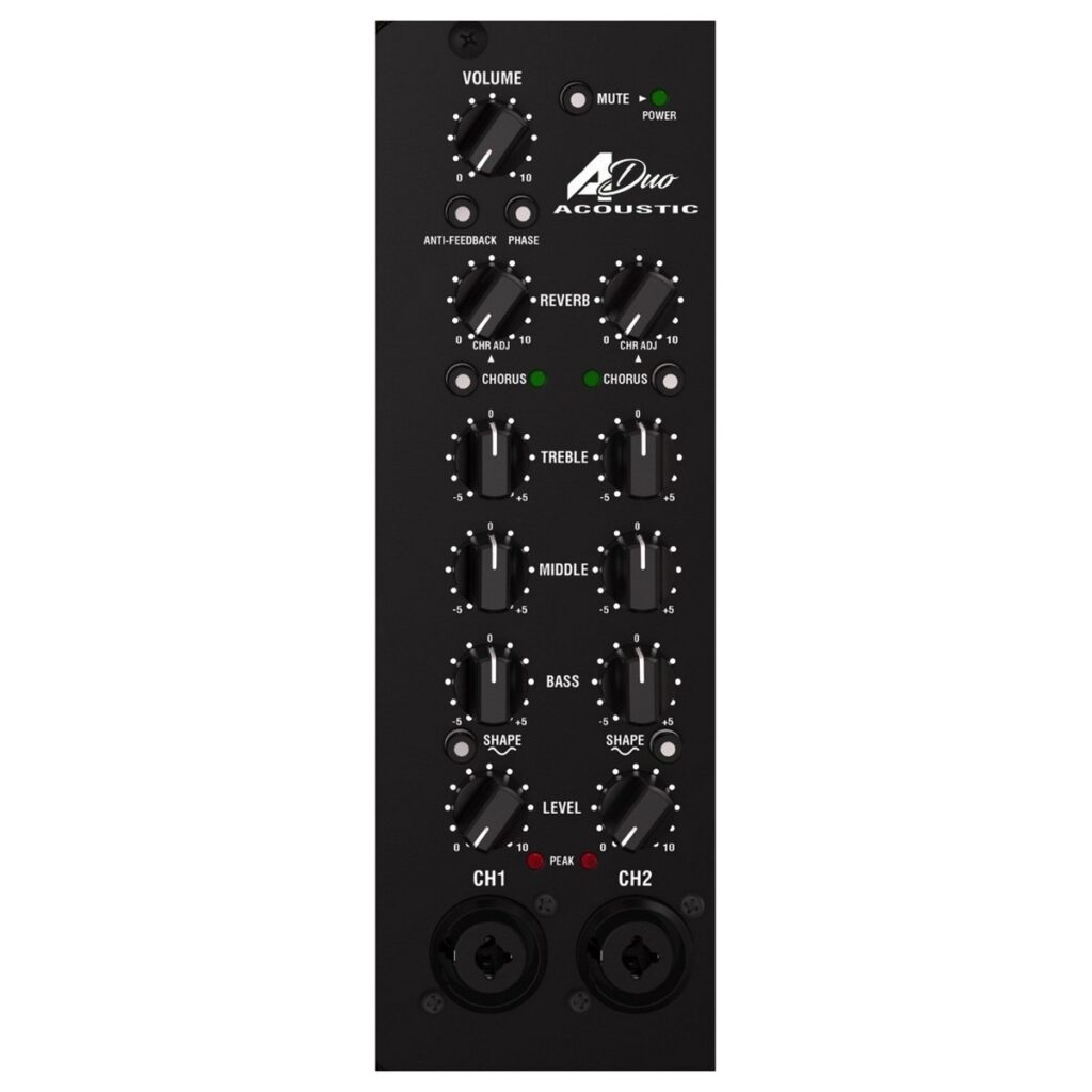 Laney A-Duo Acoustic Amp