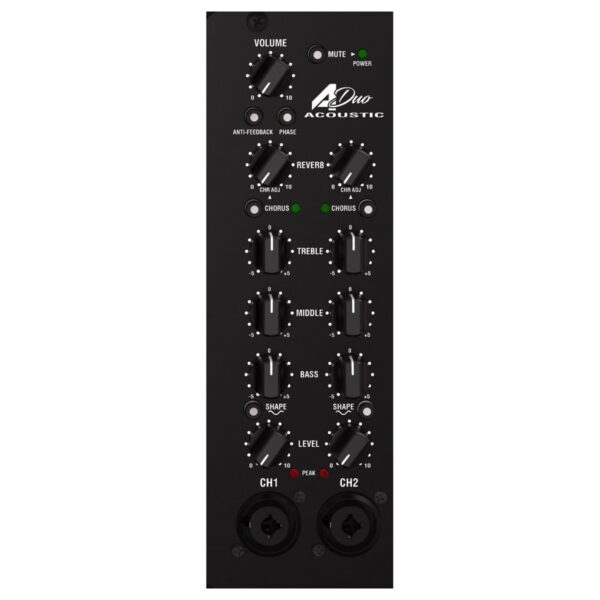 Laney A-Duo Acoustic Amp