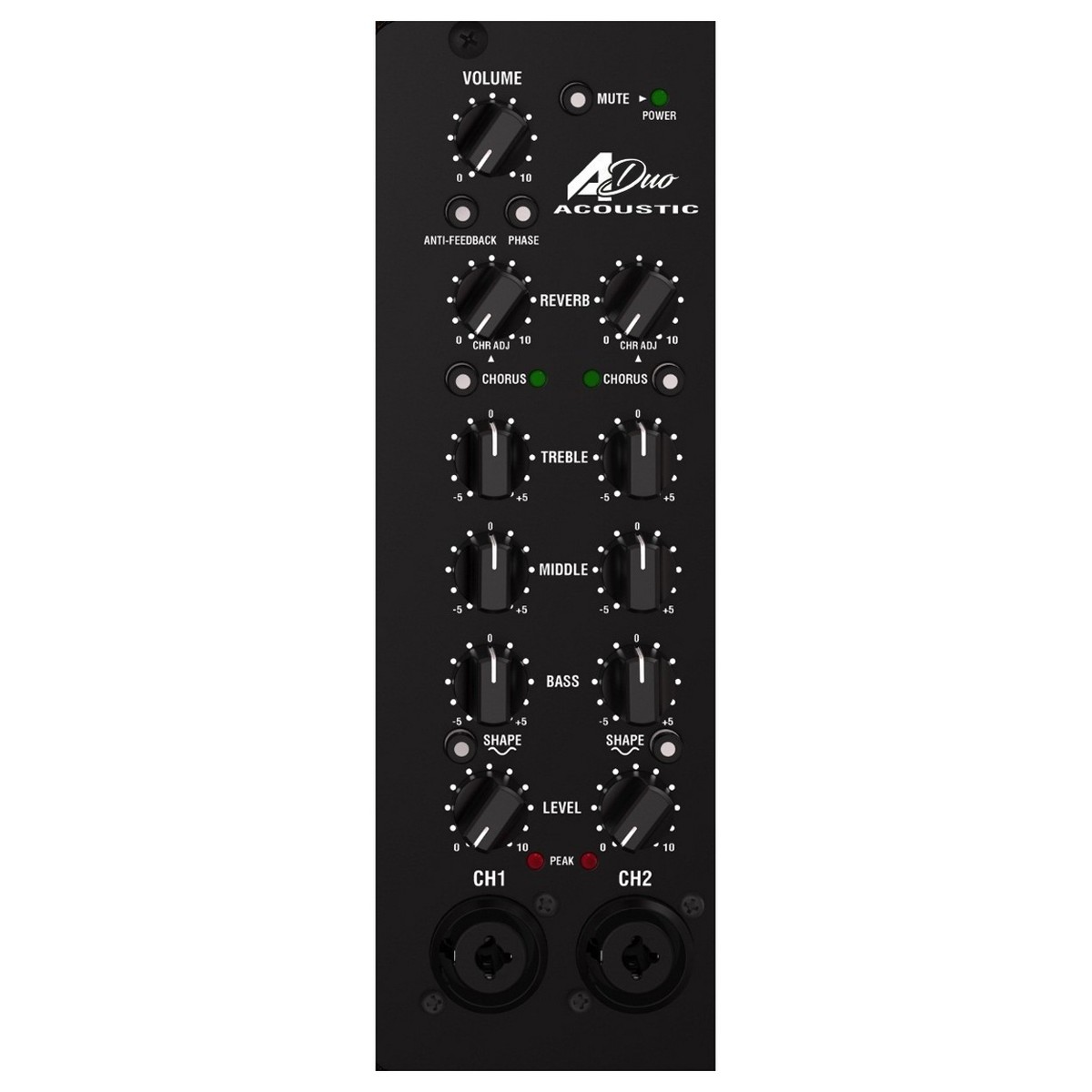 Laney A-Duo Acoustic Amp