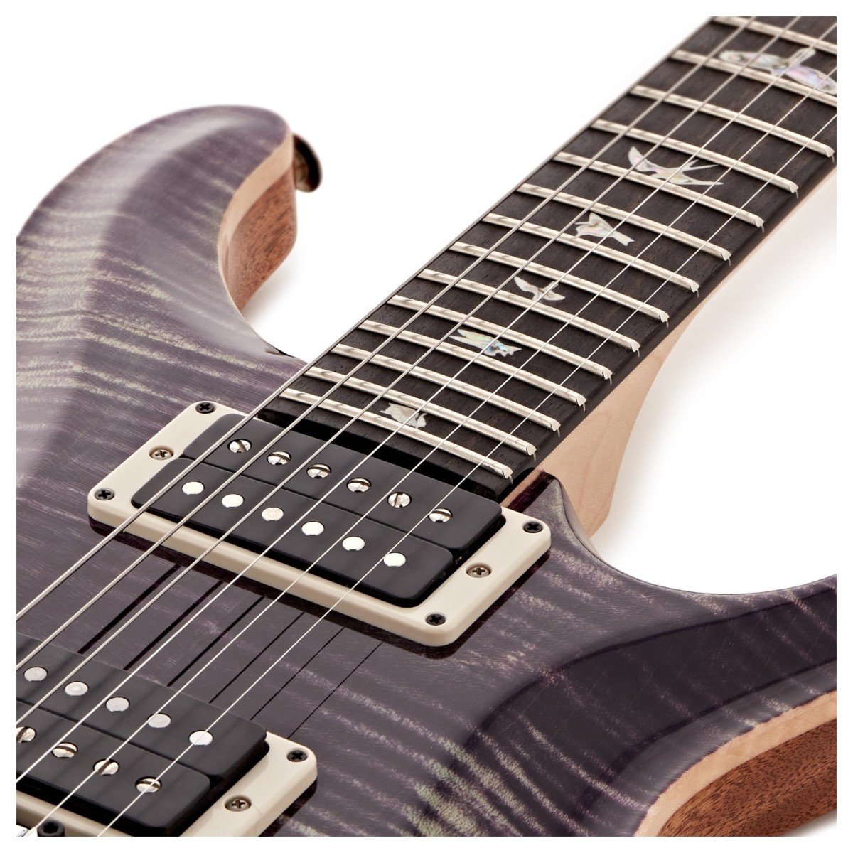 PRS Custom 24 Floyd Aurora Borealis #0416884
