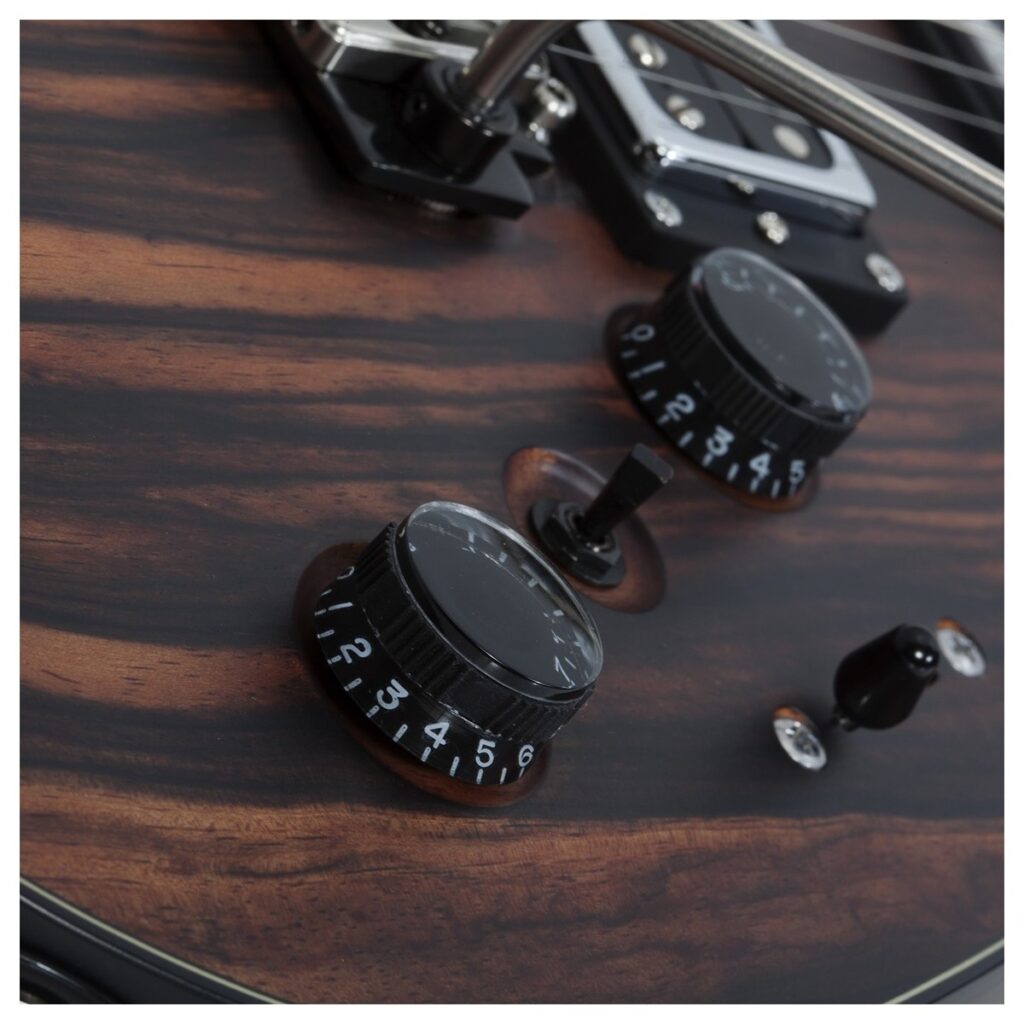 Schecter C-1 Exotic Ebony