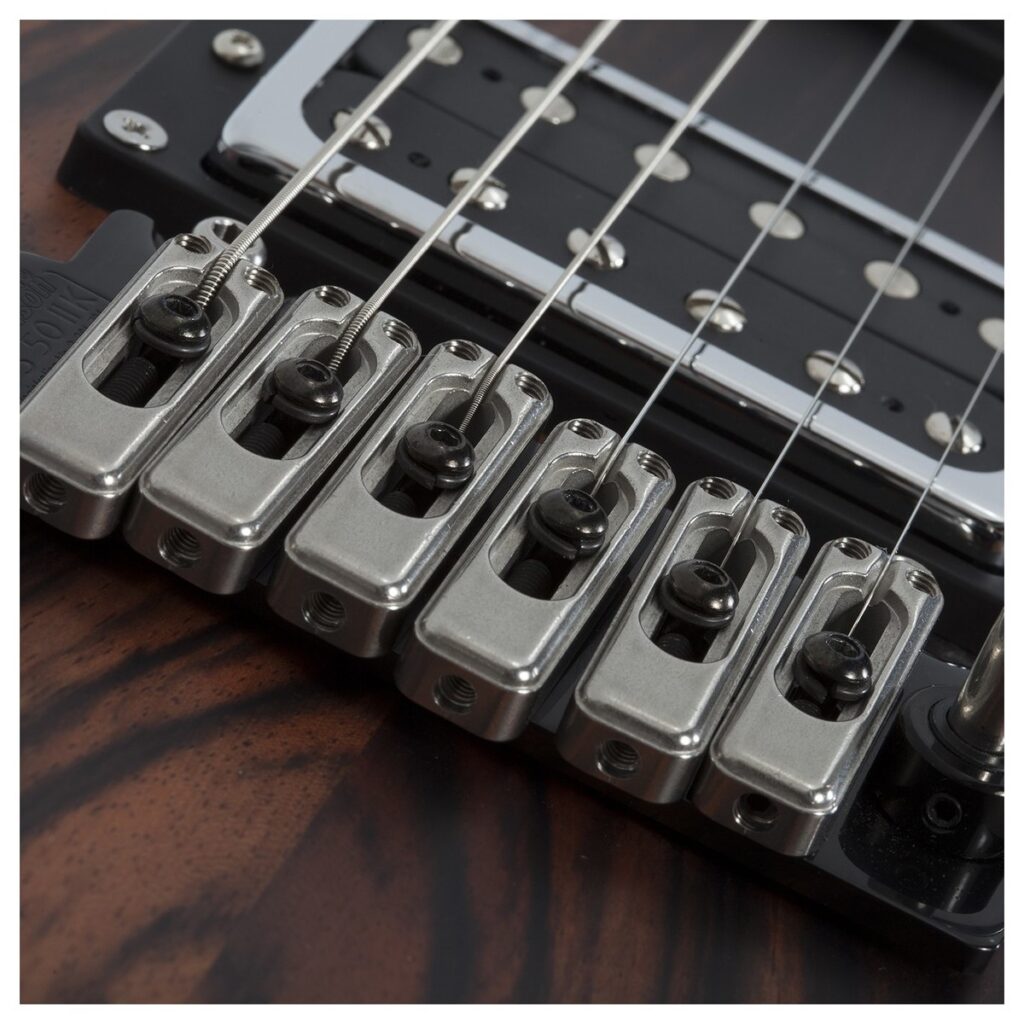 Schecter C-1 Exotic Ebony