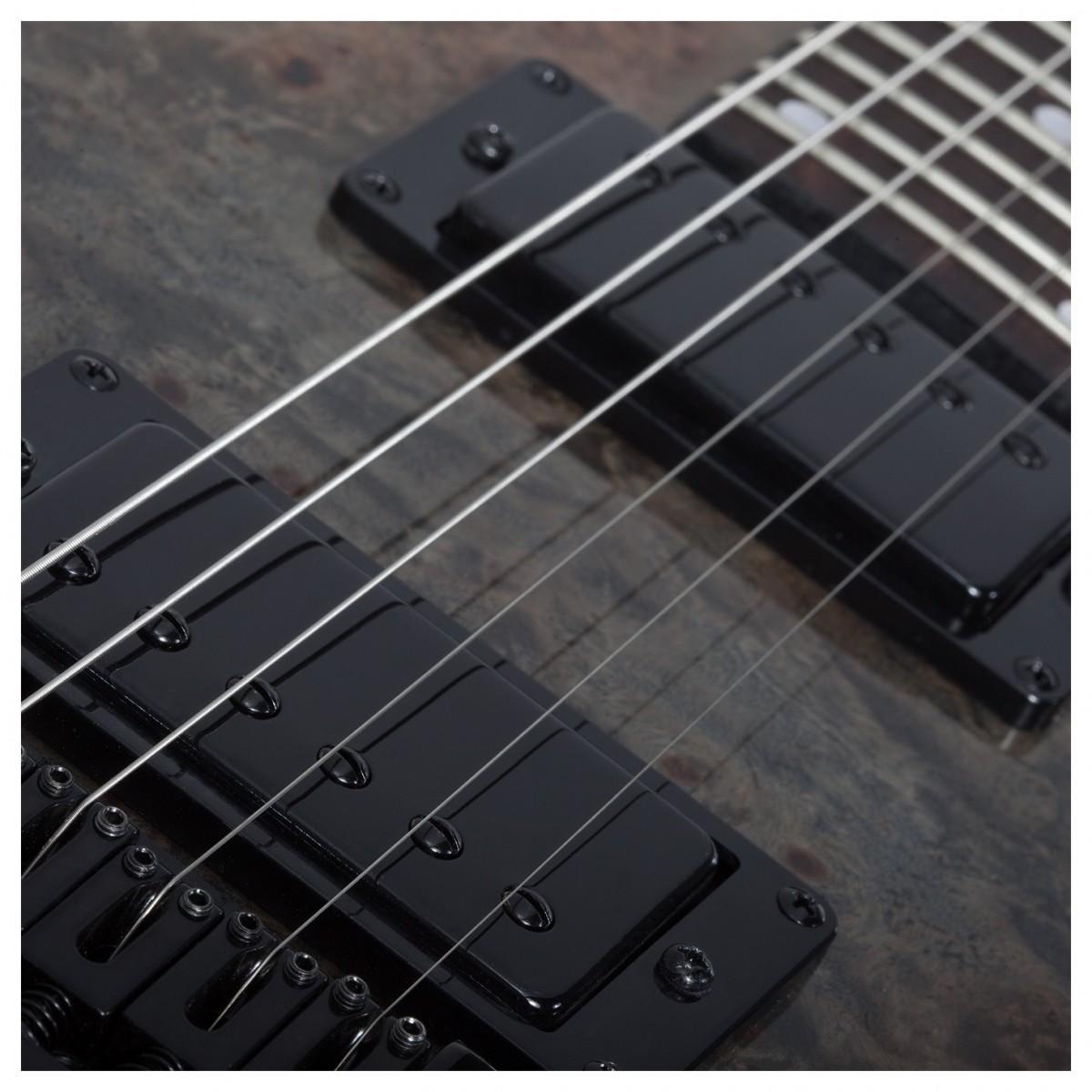 Schecter C-1 Standard Burl Black Fade Burst