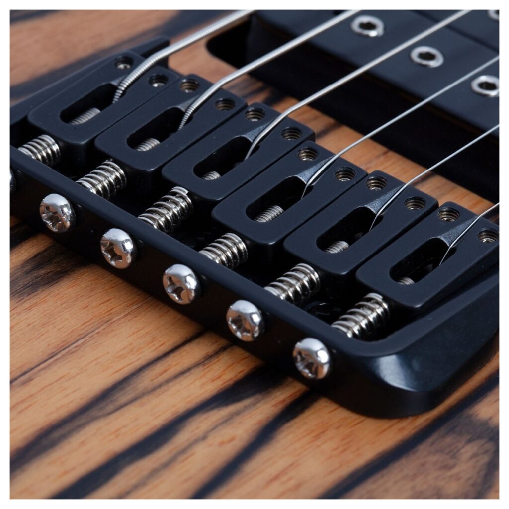 Schecter C-1 Pale Moon