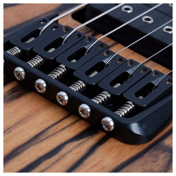Schecter C-1 Pale Moon